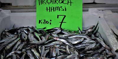 Fakirin en kıymetli deniz ürününe  hamsiye büyük ilgi