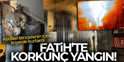 Fatih korkutan yangın: Dumandan etkilenen 4 kişi ve 6 kedi yavrusunu itfaiye ekipleri kurtardı