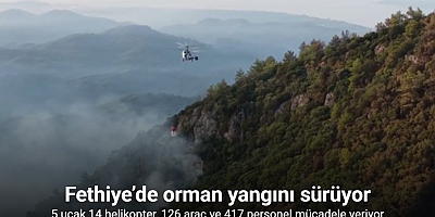 Fethiye’de ekiplerin orman yangını ile ilgili mücadelesi sürüyor