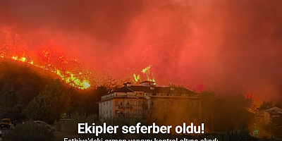 Fethiye'deki orman yangını kontrol altına alındı