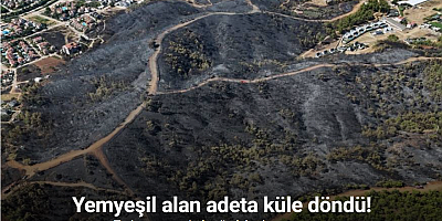 Fethiye’nin akciğerleri yandı