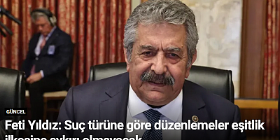 Feti Yıldız: Suç türüne göre düzenlemeler eşitlik ilkesine aykırı olmayacak