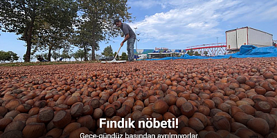 Fındık nöbeti: Gece-gündüz başından ayrılmıyorlar