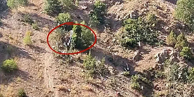 Fındık yolculuğu faciayla bitti: Minibüs uçuruma yuvarlandı, 3 can gitti