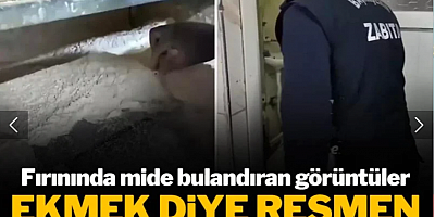 Fırında mide bulandıran görüntüler! Ekmek diye ne yiyoruz