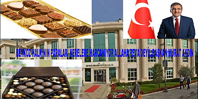 FLAŞ HABER Beykoz Belediyesi Bakın Alakasız İhale Yaparak Belediyeyi Ne Kadar Zarara Sokmuş