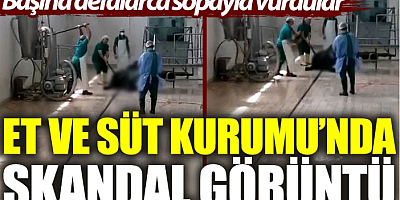 FLAŞ HABER Et ve Süt Kurumu’nda skandal görüntü: Başına defalarca sopayla vurdular