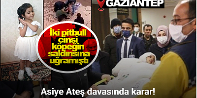Gaziantep’te 4 yaşındaki Asiye Ateş’e pitbull saldırısı davasında karar