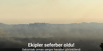 Gebze’deki orman yangını havadan görüntülendi