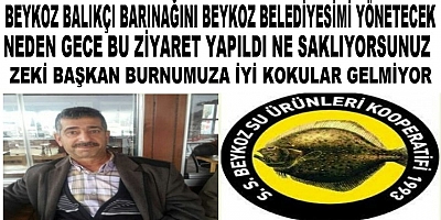 Gelen Gideni Aratır Başkan Zeki Demirtaş Barınağa Siyasetimi Sokuyorsun