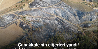 Gelibolu’da çıkan orman yangınının verdiği tahribat dron ile görüntülendi