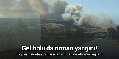 Gelibolu’da orman yangını