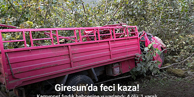 Giresun’da kamyonet fındık bahçesine yuvarlandı: 4 ölü, 1 yaralı