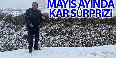 Giresun'un ardından Trabzon'un yaylalarında da kar yağışı başladı