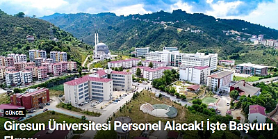 Giresun Üniversitesi Personel Alacak! İşte Başvuru Ekranı