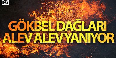 Gökbel Dağları alev alev yanıyor