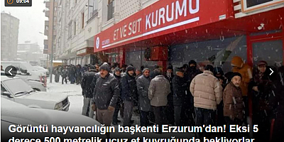 Görüntü hayvancılığın başkenti Erzurum'dan! Eksi 5 derece 500 metrelik ucuz et kuyruğunda bekliyorlar