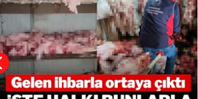 Görüntüler mide bulandırdı: Bunları halka yedireceklerdi