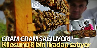 Gram gram sağdığı arı sütünün kilosunu 8 bin liradan satıyor