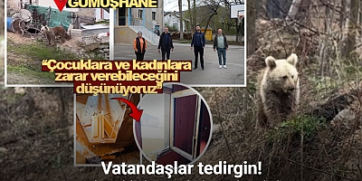 Gümüşhane’de ayılar yaylalardan sonra köyleri mesken edindi: Vatandaşlar tedirgin