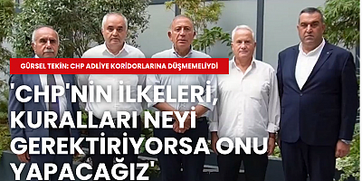Gürsel Tekin: CHP adliye koridorlarına düşmemeliydi