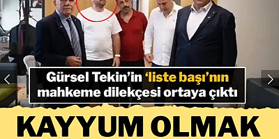 Gürsel Tekin'in 'liste başı' Ferhat İşçimen'den 'kayyum olma' talebi