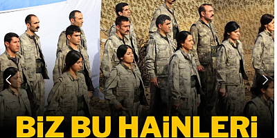 Hainler artık iyice şımardı: Anayasa da değiştirilsin