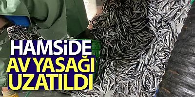 Hamsi avcılığına kısmi durdurma 7 Şubat'a kadar uzatıldı