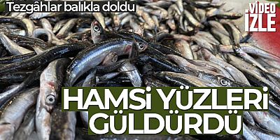 Hamsi yüzleri güldürdü palamut ise hayal kırıklığı yaşattı