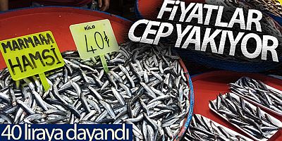 Hamsinin fiyatı 40 liraya dayandı