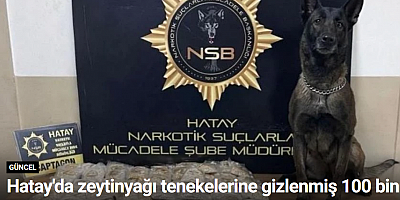 Hatay'da zeytinyağı tenekelerine gizlenmiş 100 bin uyuşturucu hap ele geçirildi