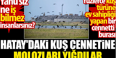 Hatay'daki kuş cennetine molozları yığdılar. Yahu siz ne iş bilmez insanlarsınız?