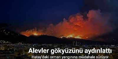 Hatay’daki orman yangınında alevler gökyüzünü aydınlattı