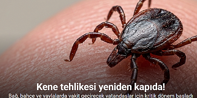 Havalar ısındı, kene tehlikesi yeniden kapıda
