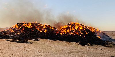 Haymana'da 5 bin balya saman yanarak kül oldu