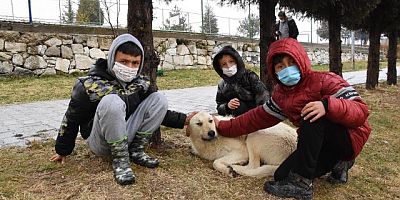 Hemşire, köpeklerle oynayan 3 çocuğu tırmıkla darbetti