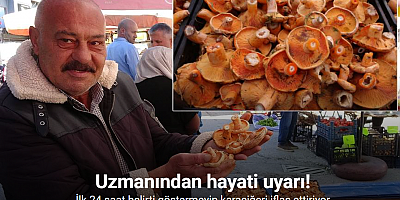 Herkes ormandan toplayıp yiyor: Artan mantar zehirlenmeleriyle ilgili uzmanından önemli uyarılar