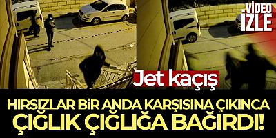 Hırsızlar bir anda karşısına çıkınca çığlık çığlığa bağırdı