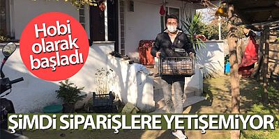 Hobi olarak başladığı kivi üretiminde şimdi siparişlere yetişemiyor