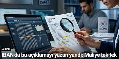 IBAN'da bu açıklamayı yazan yandı: Maliye tek tek inceliyor