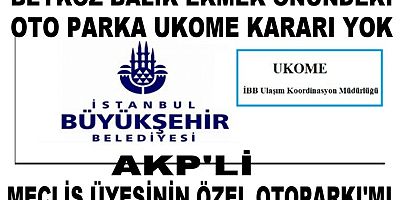 İBB SUÇ İŞLİYORSUN BEYKOZ BELEDİYESİ SUÇ İŞLİYORSUN BURADAKİ YAŞANAN KAZALARDAN SİZLER SORUMLUSUNUZ