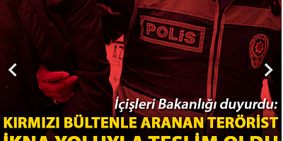 İçişleri Bakanlığı: İnterpol'ün kırmızı bültenle aradığı terörist ikna yoluyla teslim oldu