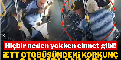 İETT otobüsündeki korkunç saldırı anları kameradan çıktı: Hiçbir neden yokken cinnet gibi