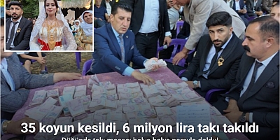İki gece iki gün süren düğünde 35 koyun kesildi, 6 milyon lira takı takıldı