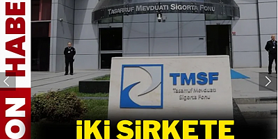 İki holdinge kayyum atandı