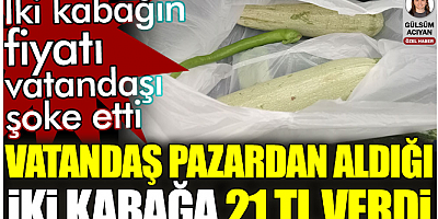 İki kabağın fiyatı vatandaşı şoke etti. Vatandaş, pazardan aldığı iki kabağa 21 TL verdi