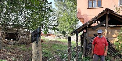  İki  kardeşin  arsa kavgası 