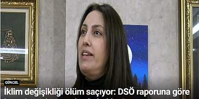 İklim değişikliği ölüm saçıyor: DSÖ raporuna göre her yıl 250 bin can kaybı bekleniyor