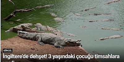 İngiltere'de dehşet! 3 yaşındaki çocuğu timsahlara verdi