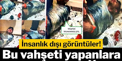 İnsanlık dışı görüntüler! Bu vahşeti yapanlara ceza yağdı